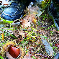 &copy; Spielwiese gGmbH